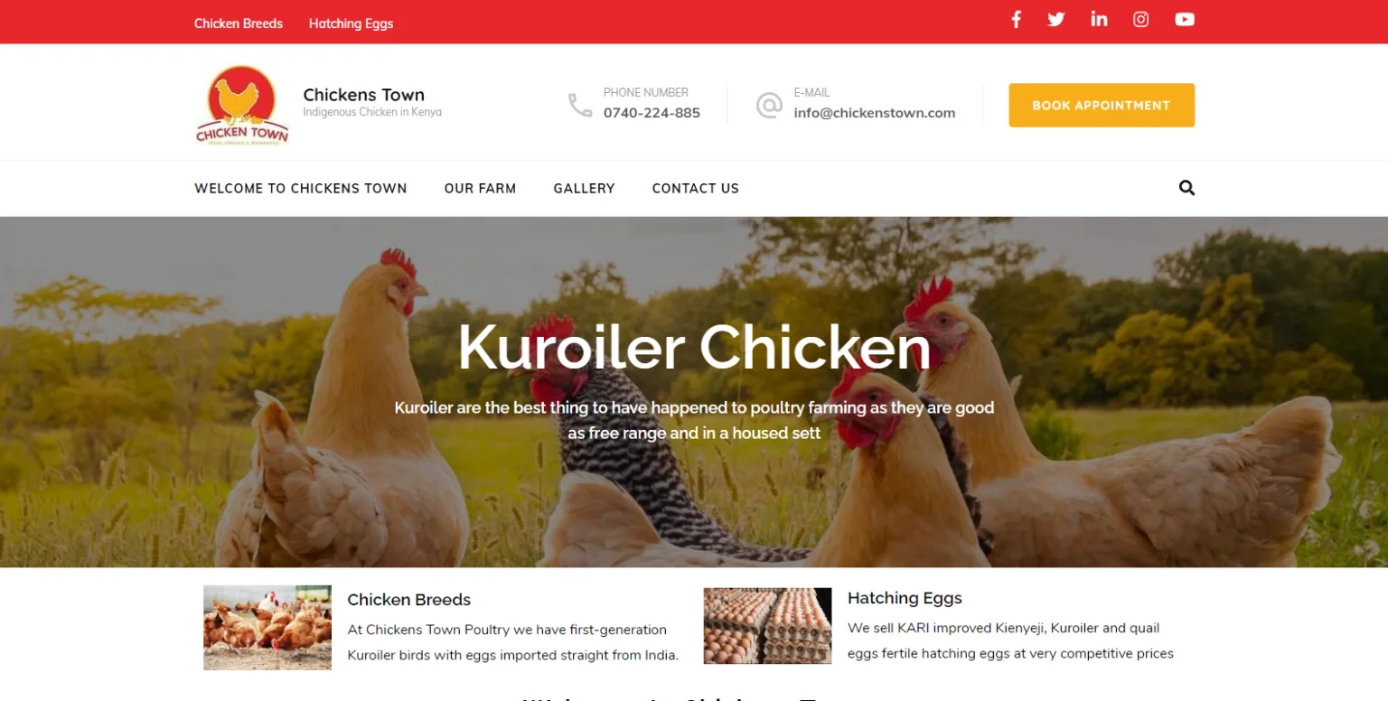 Chickens Town