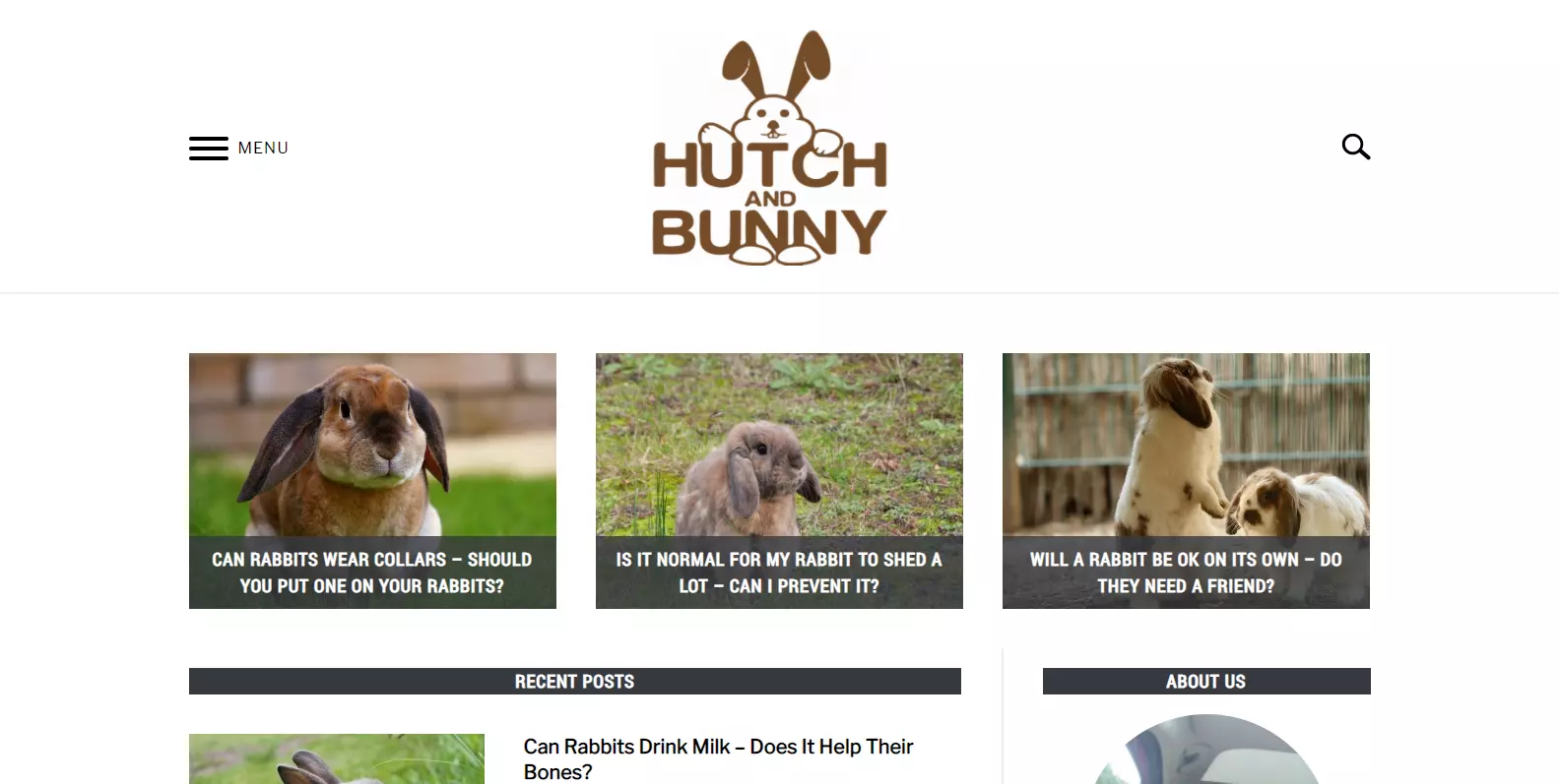 Hutch Bunny